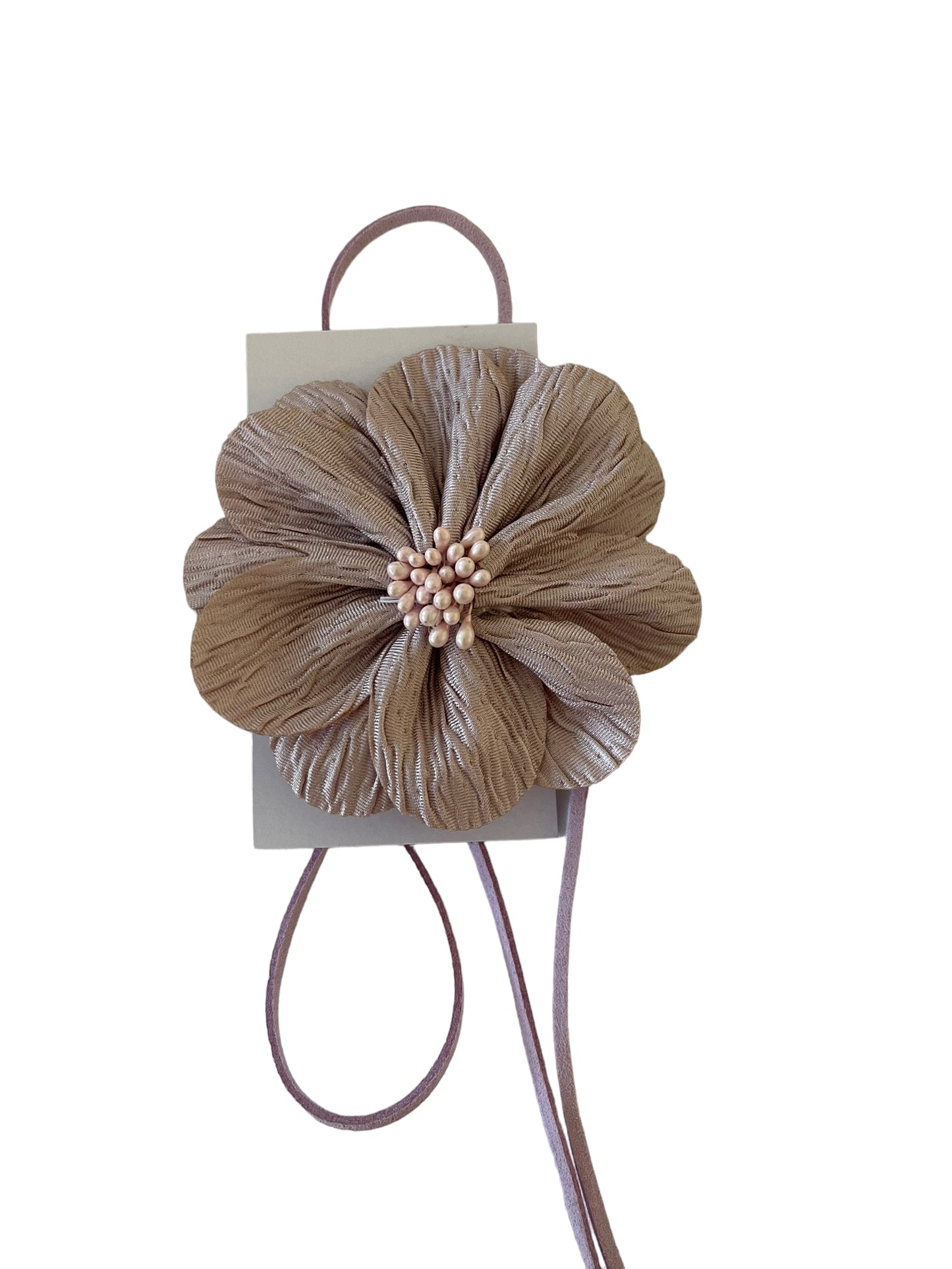 pale lilac x lilac willa