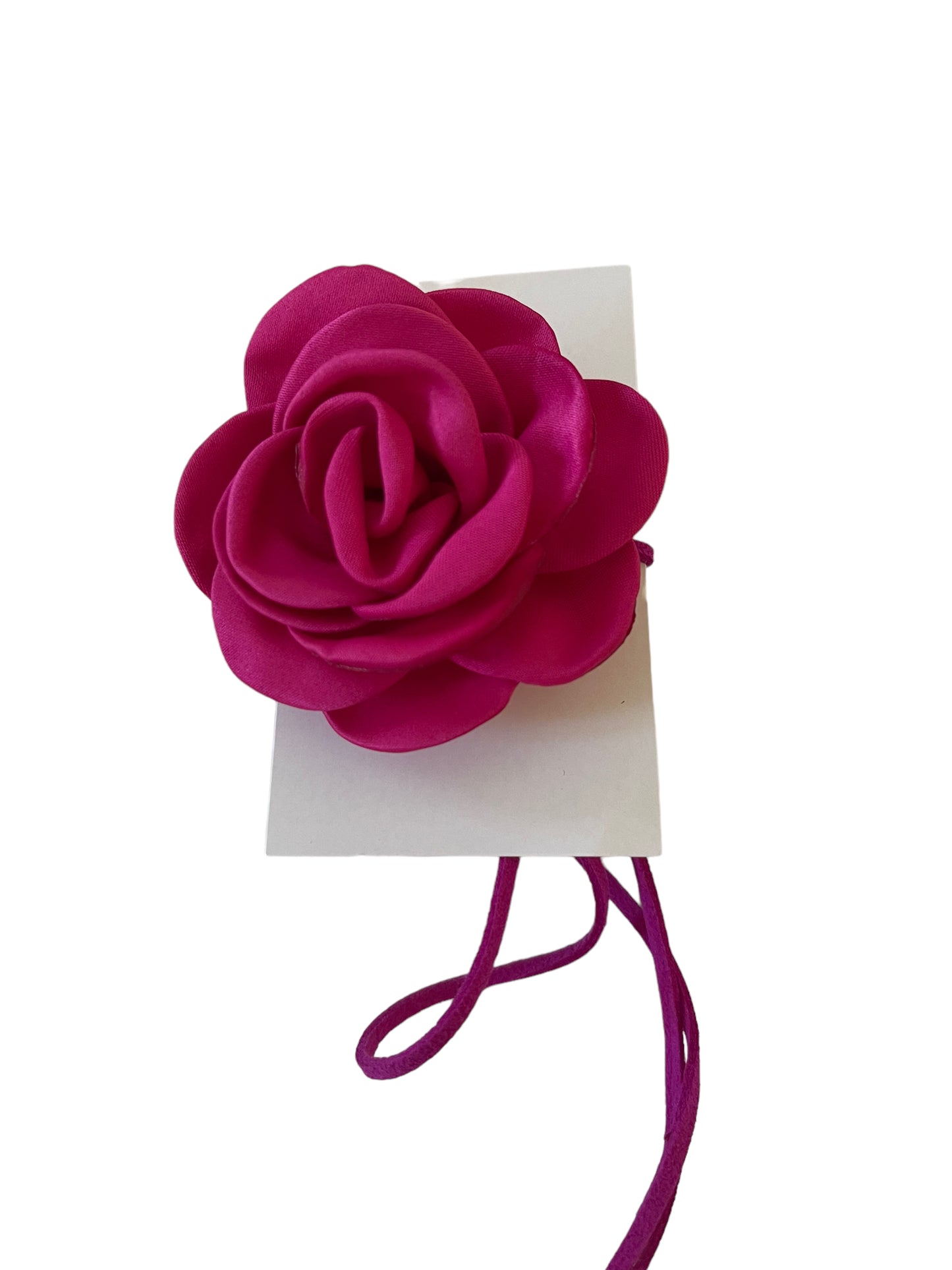 fuchsia x fuchsia medium cleo
