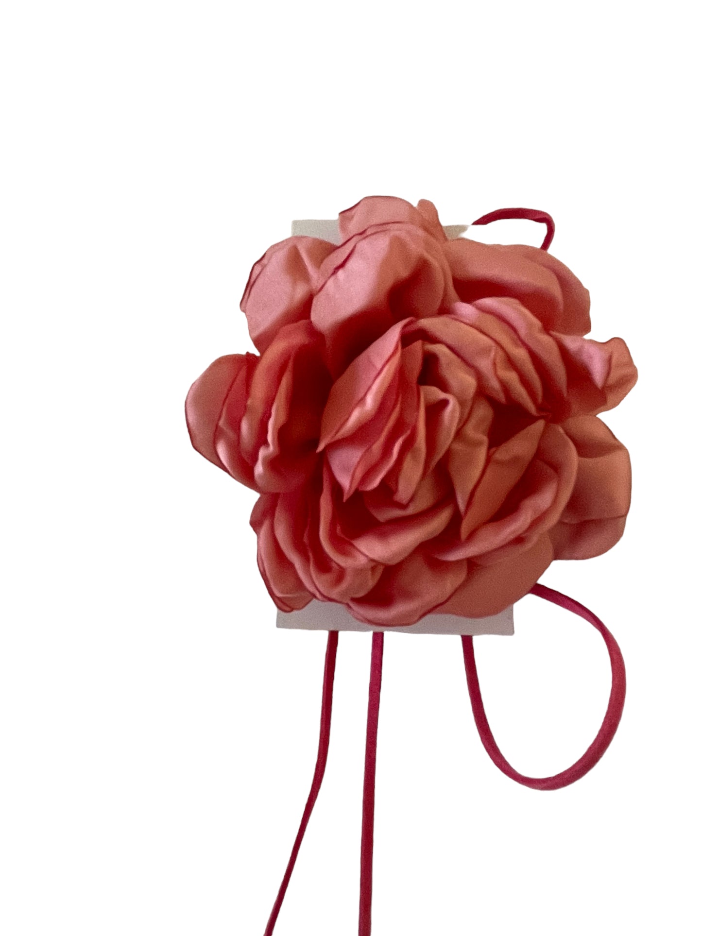 Coral x pink cleo