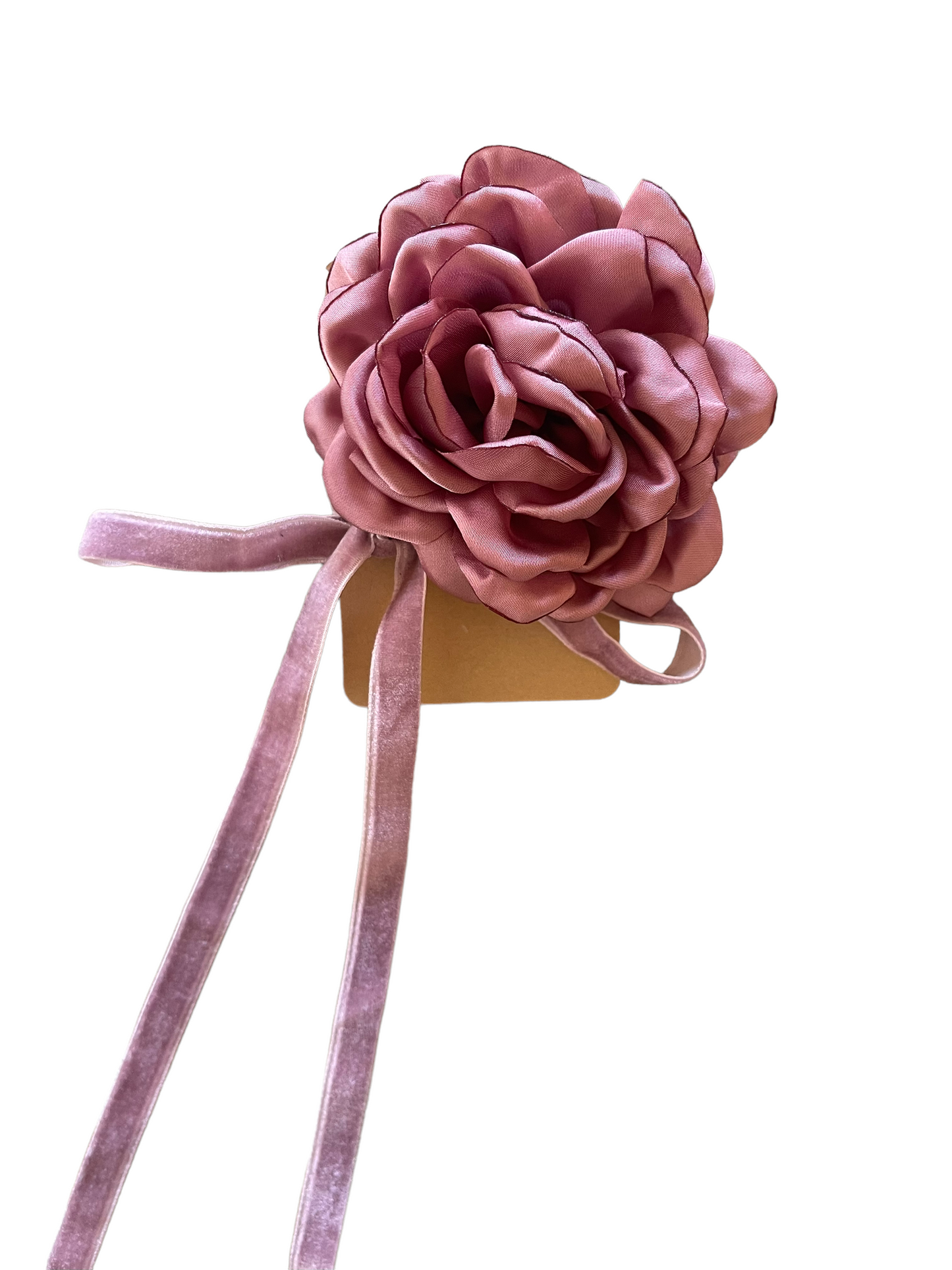 rose x rose cleo