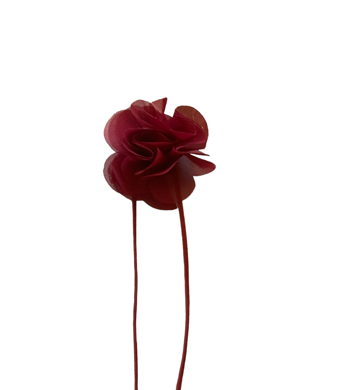 burgundy x burgundy mini mimi