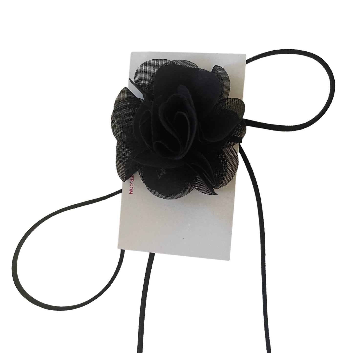 black x black iris